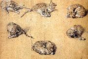 GAINSBOROUGH, Thomas Six studies of a cat Germany oil painting artist